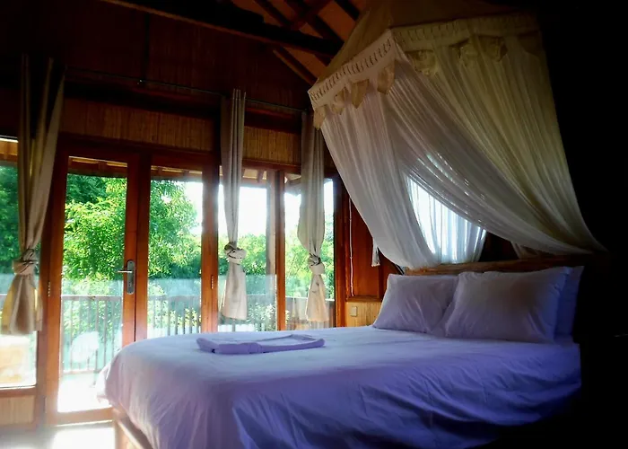 Guest house Lotus 3*