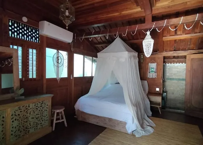 Lotus Guest house